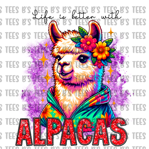 Alpacas