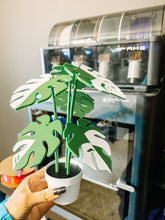 Load image into Gallery viewer, Monstera Coasters 🪴
