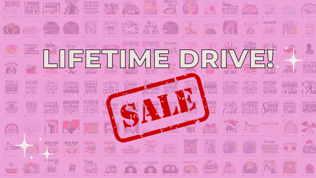 Lifetime Drive Access (ONLY $100)