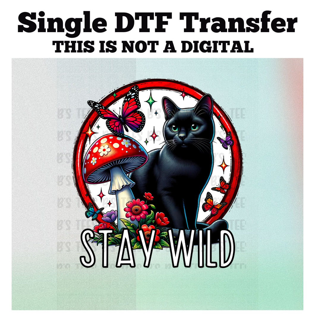 SINGLE TRANSFER- Stay Wild