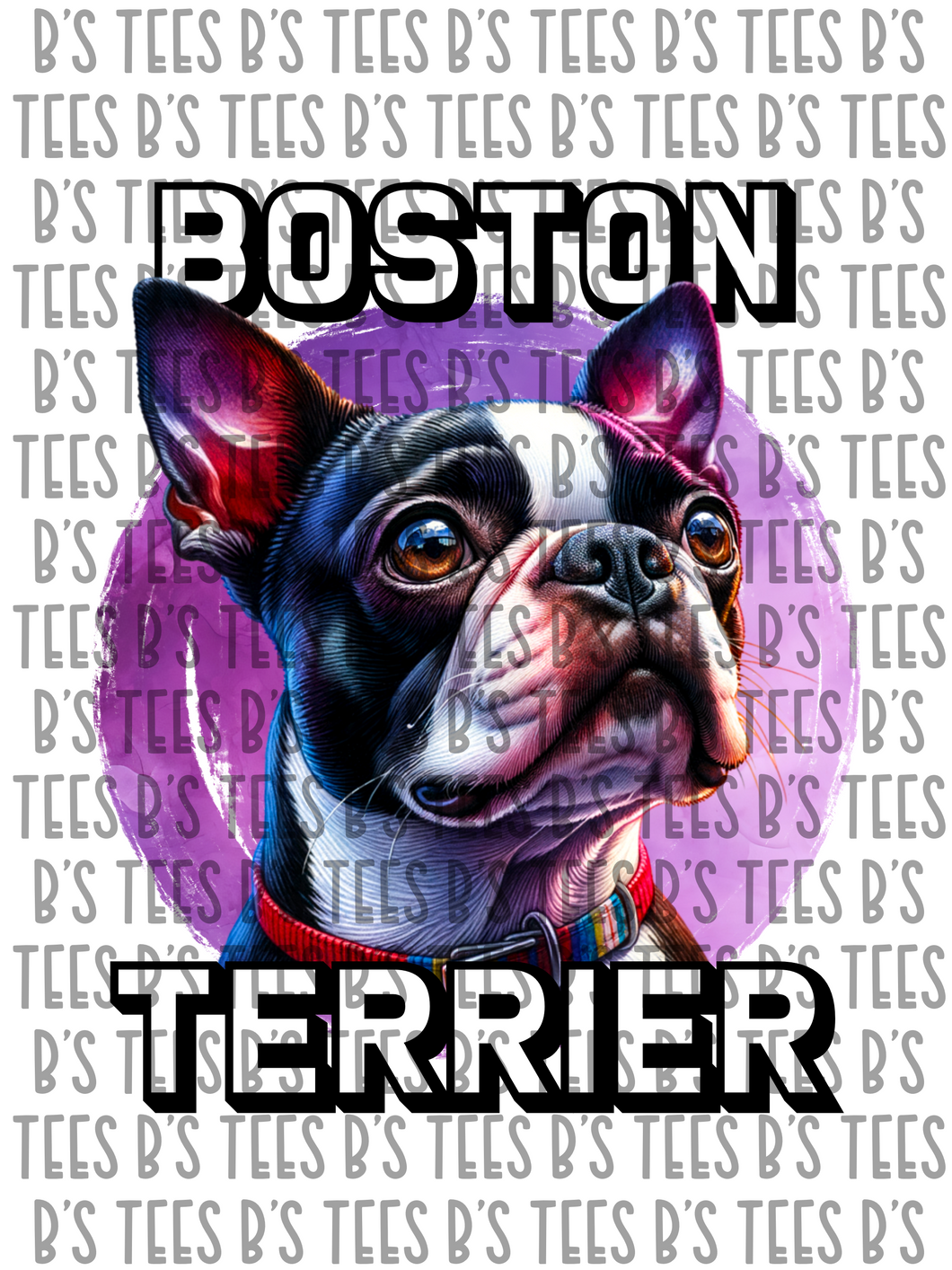 Boston Terrier